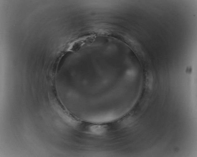 X0000111650465200907171549