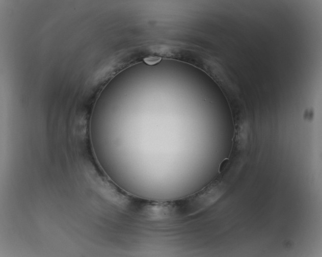 X0000111650466200907171550