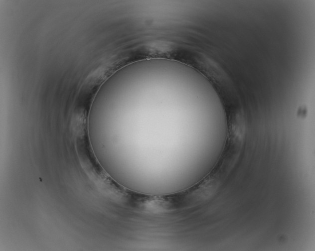X0000111650468200907171550