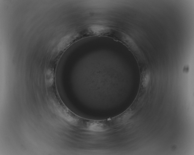 X0000111650471200907171550