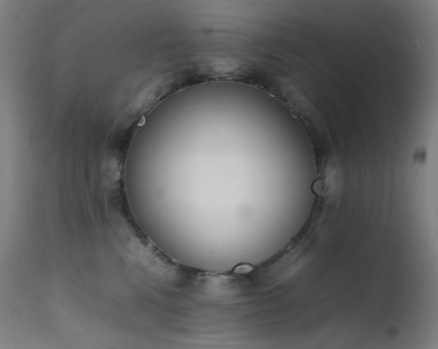 X0000111650472200907171550