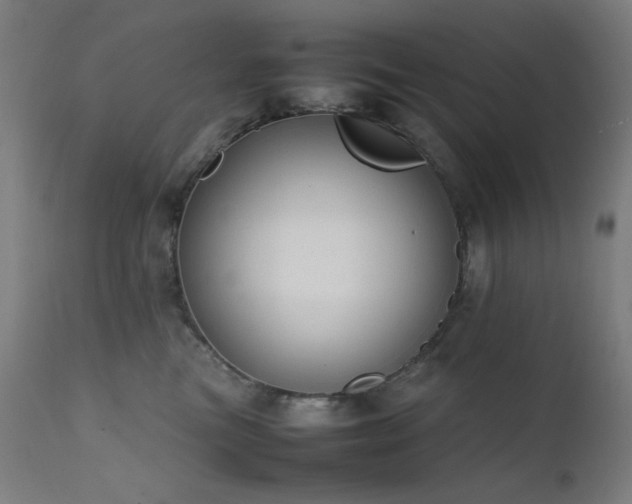 X0000111650473200907171550