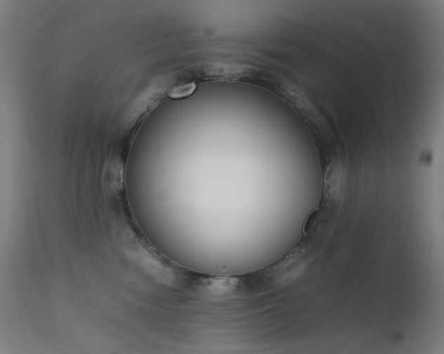 X0000111650474200907171550