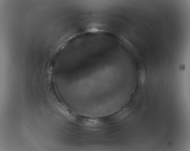 X0000111650475200907171550