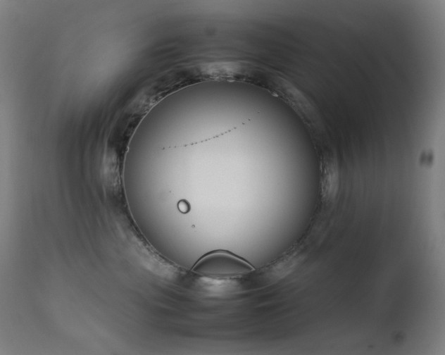 X0000111650477200907171550