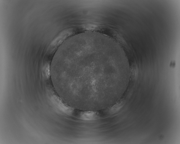 X0000111650479200907171550