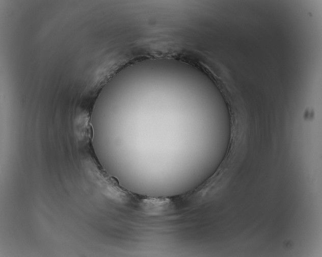 X0000111650480200907171550