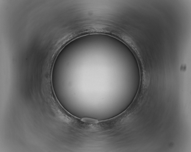X0000111650481200907171549
