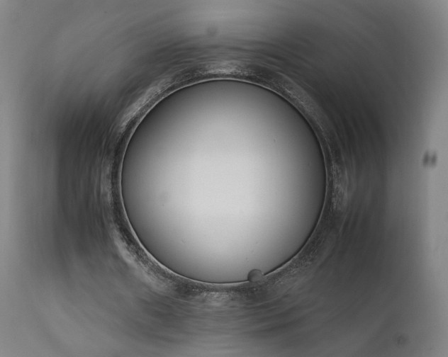 X0000111650482200907171549