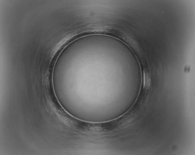 X0000111650483200907171549