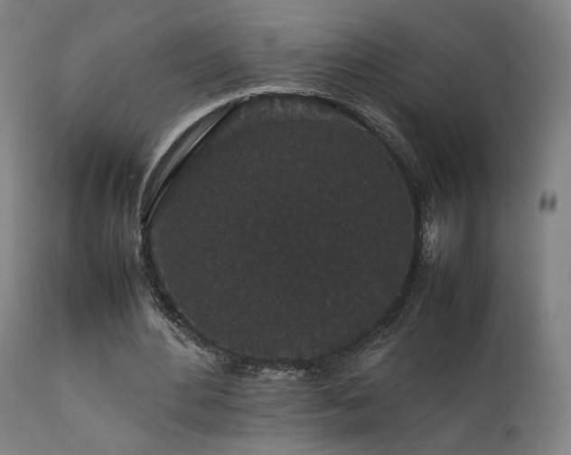 X0000111650484200907171549