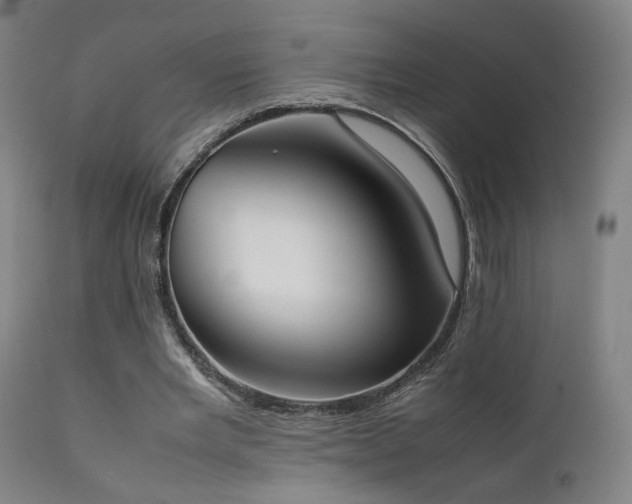 X0000111650485200907171549