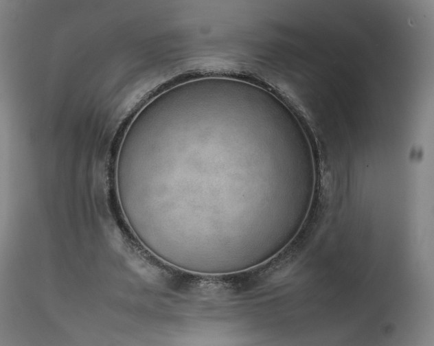 X0000111650487200907171549