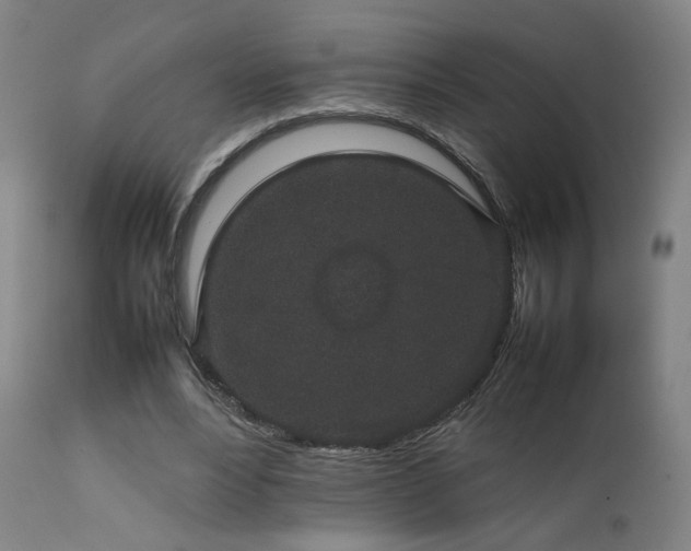 X0000111650488200907171549