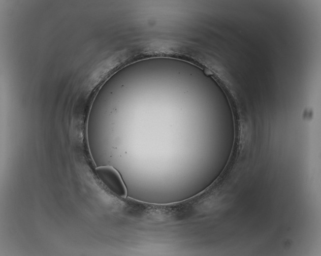 X0000111650489200907171549