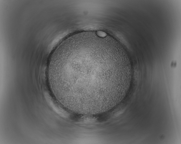 X0000111650491200907171549