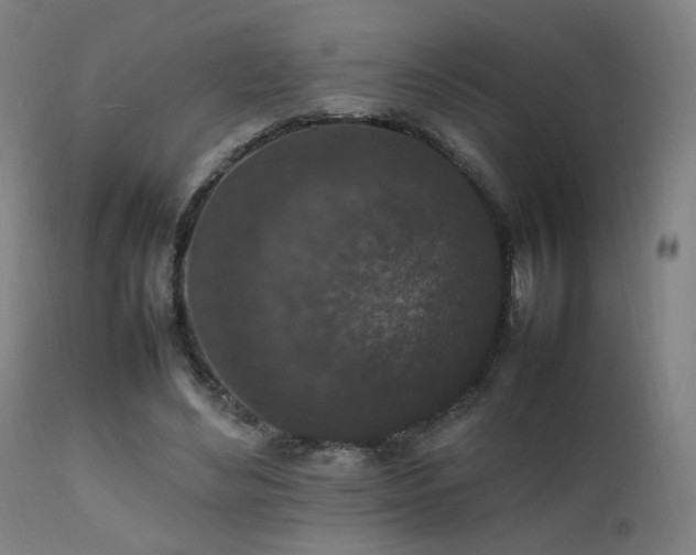 X0000111650492200907171549