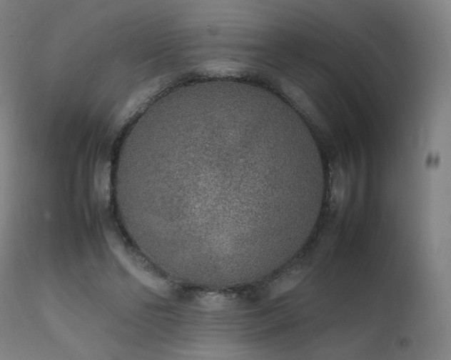 X0000111650494200907171549