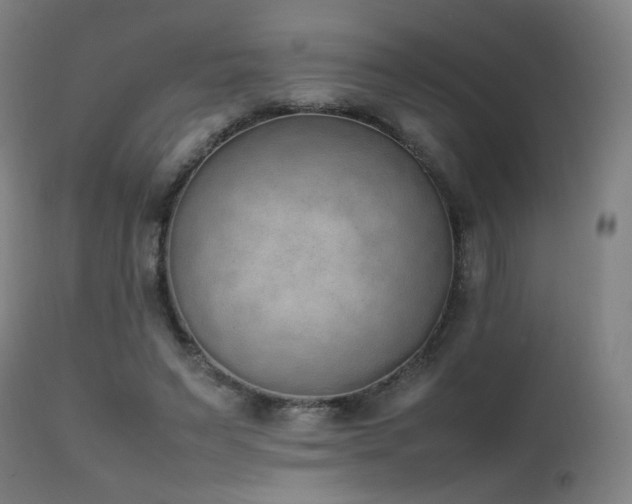 X0000111650495200907171549