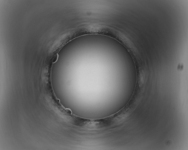 X0000111650497200907171548