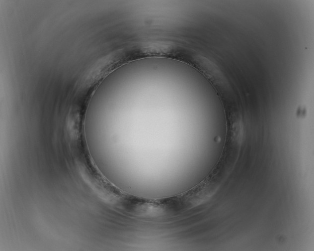 X0000111650498200907171548