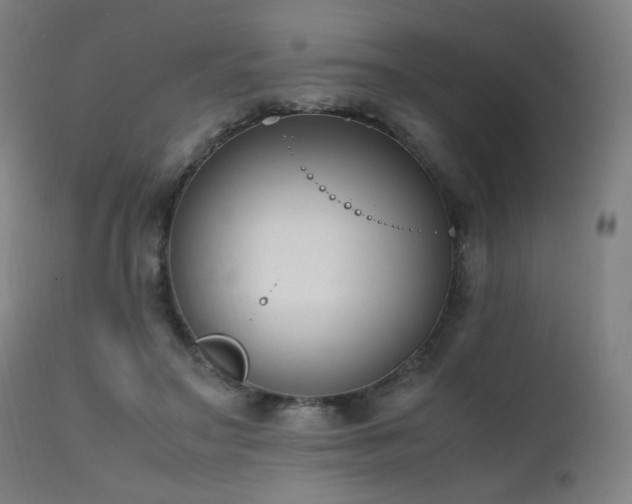 X0000111650499200907171548