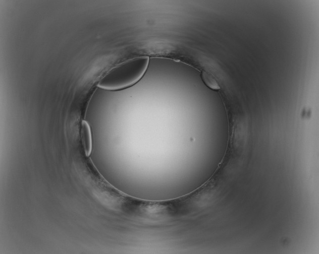 X0000111650501200907171548