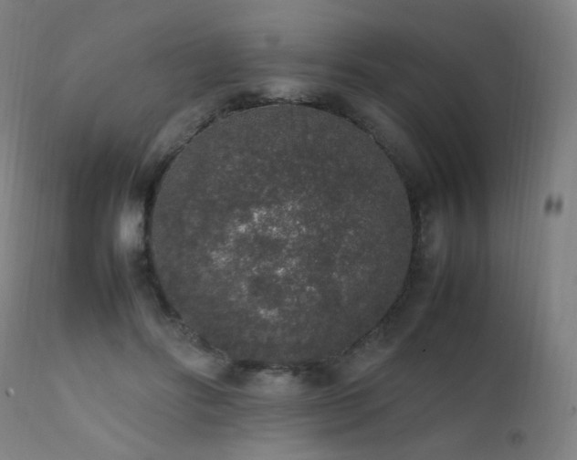 X0000111650502200907171548