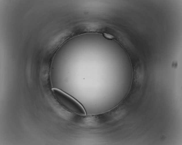 X0000111650505200907171548