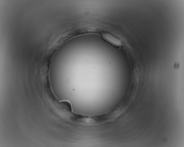 X0000111650509200907171548