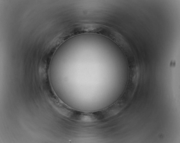 X0000111650510200907171548