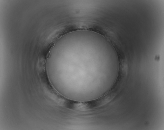 X0000111650511200907171548