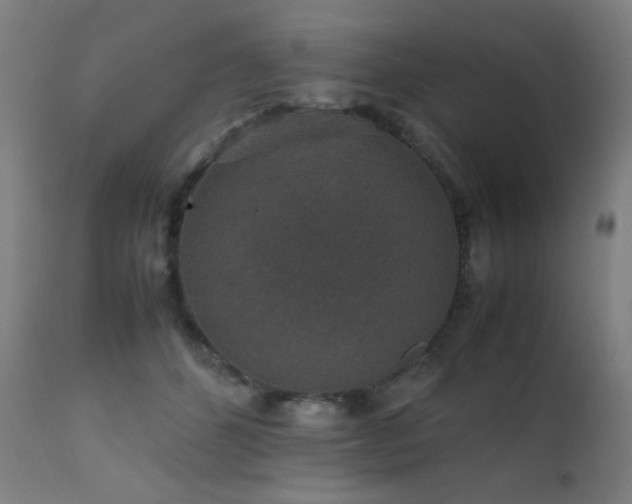 X0000111650512200907171548