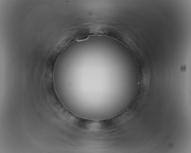 X0000111650513200907171548