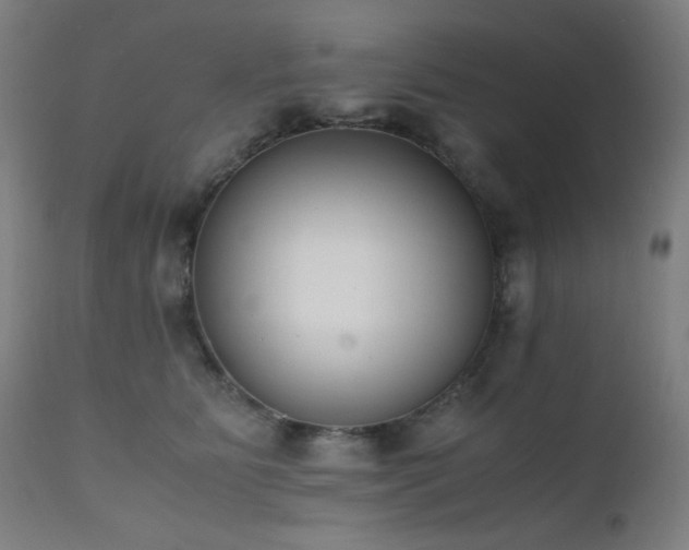 X0000111650515200907171548