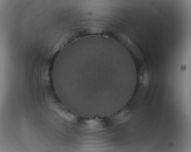 X0000111650516200907171548
