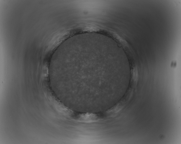 X0000111650517200907171548