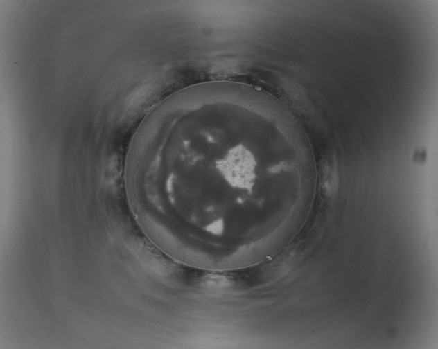 X0000111650519200907171548