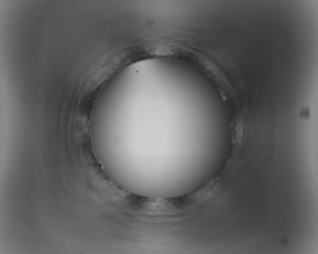 X0000111650521200907171548