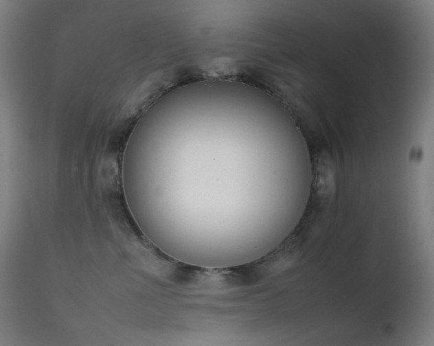 X0000111650523200907171548