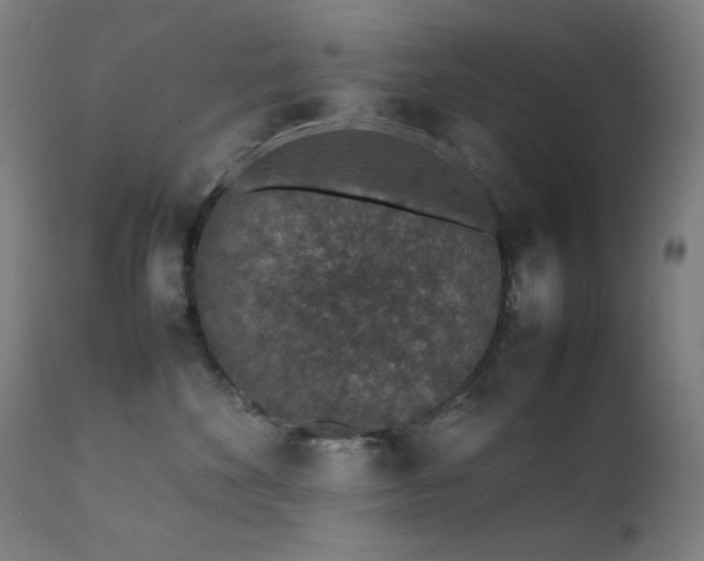 X0000111650524200907171548
