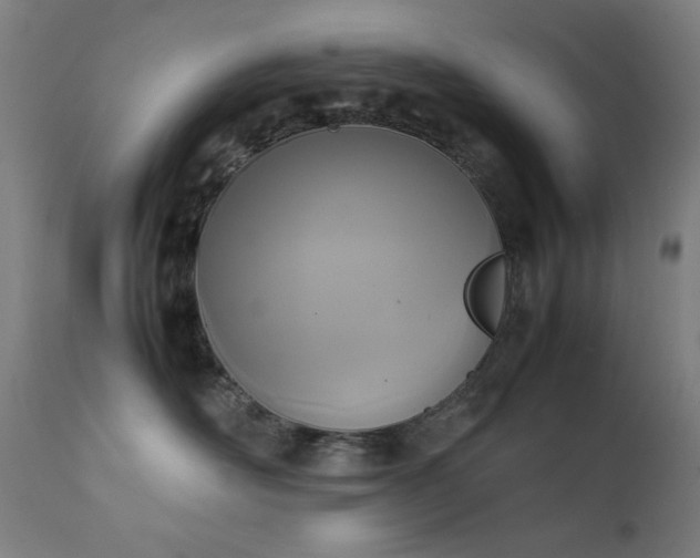 X0000111650526200907171548