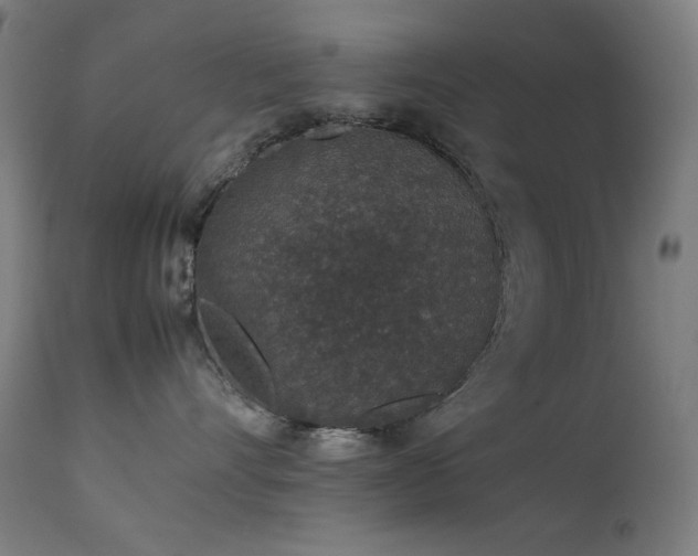 X0000111650528200907171548