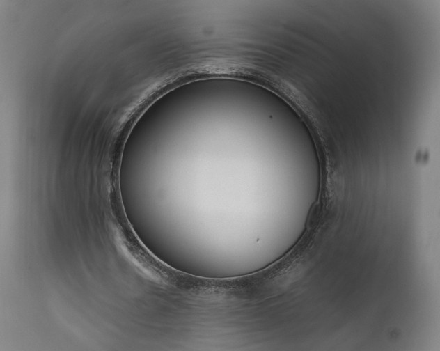 X0000111650530200907171547