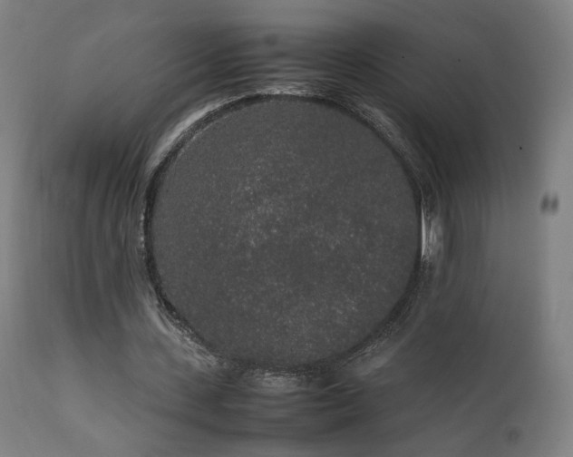 X0000111650531200907171547