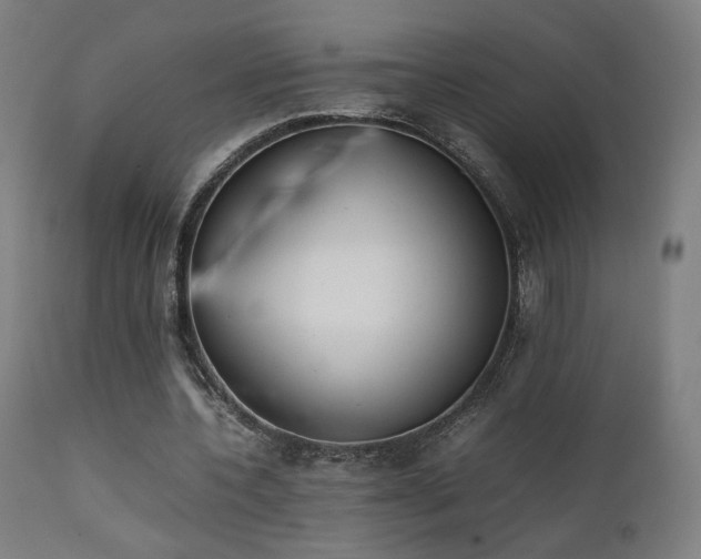 X0000111650532200907171547