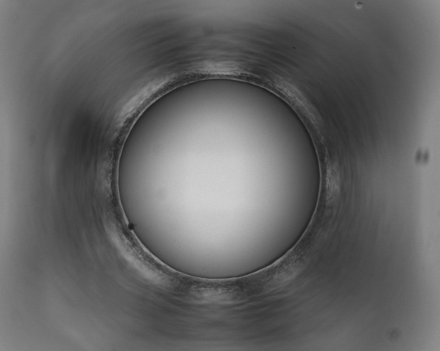 X0000111650533200907171547