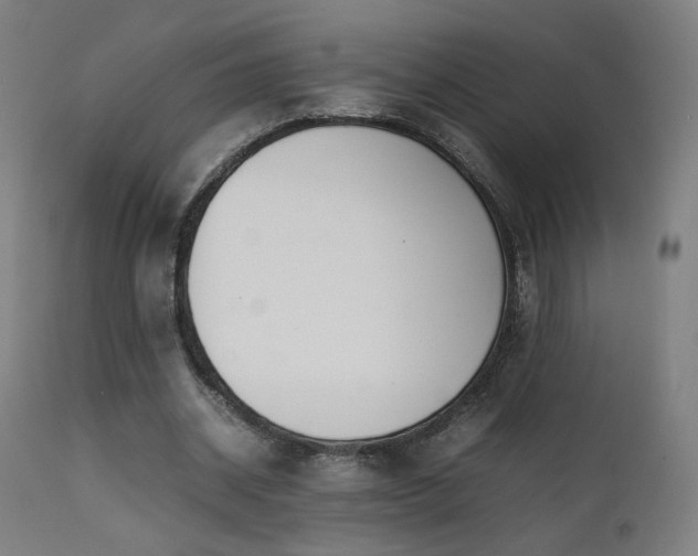 X0000111650534200907171547