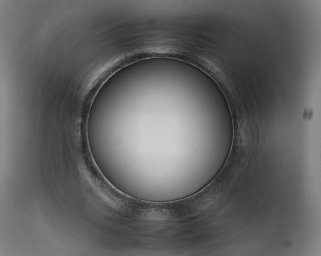 X0000111650535200907171547