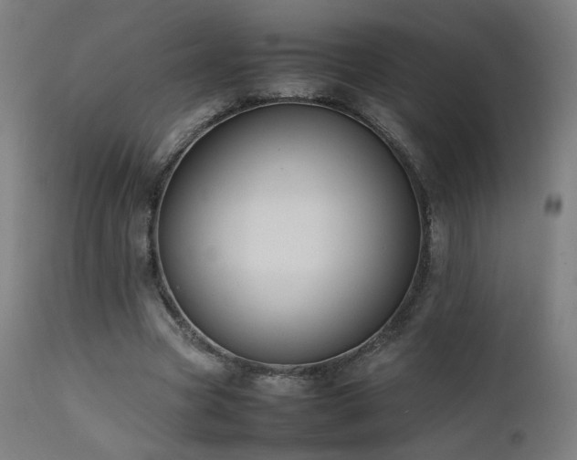 X0000111650537200907171548